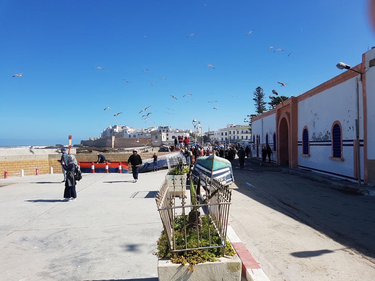 Riad Sidi Magdoul Есувейра Екстериор снимка